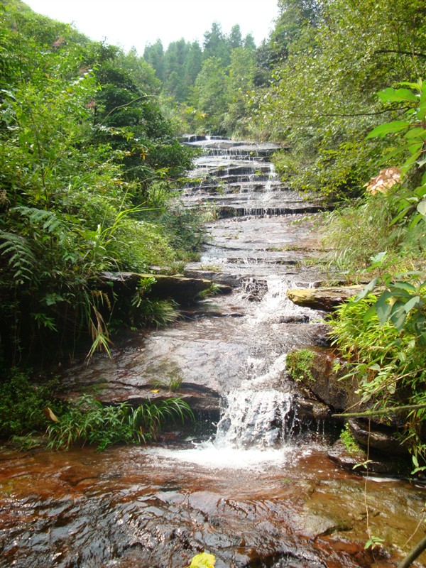 06.jpg
