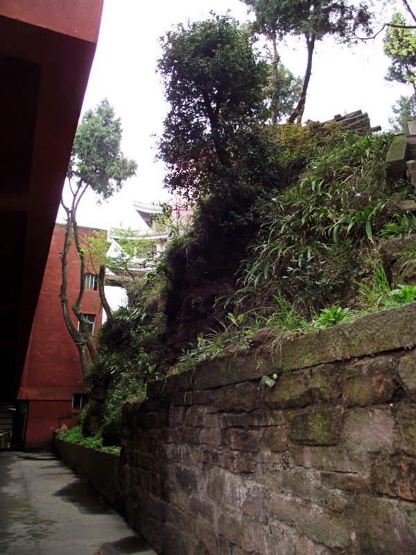DSCF0057_conew1.jpg