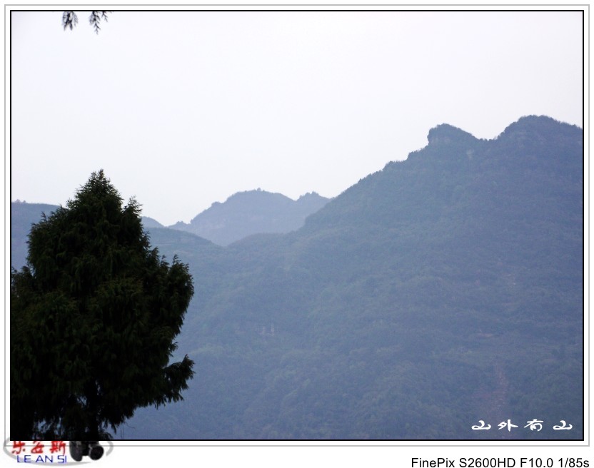 DSCF0079_conew1.jpg