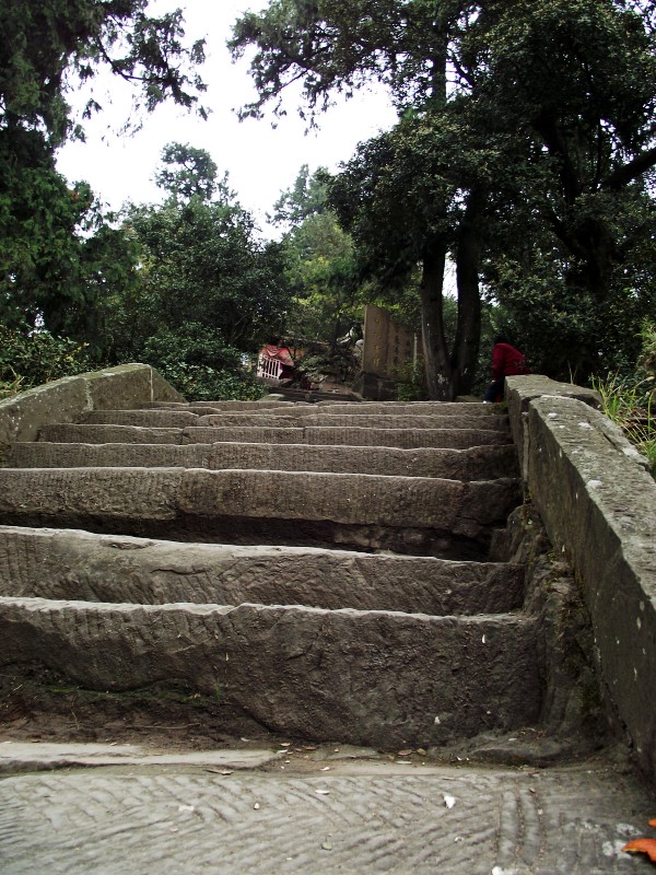 DSCF0118_conew2.jpg