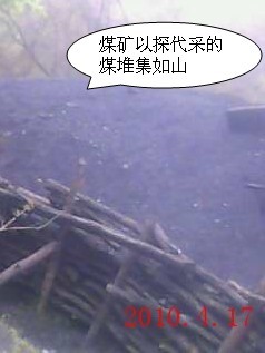 IMG0201A.jpg