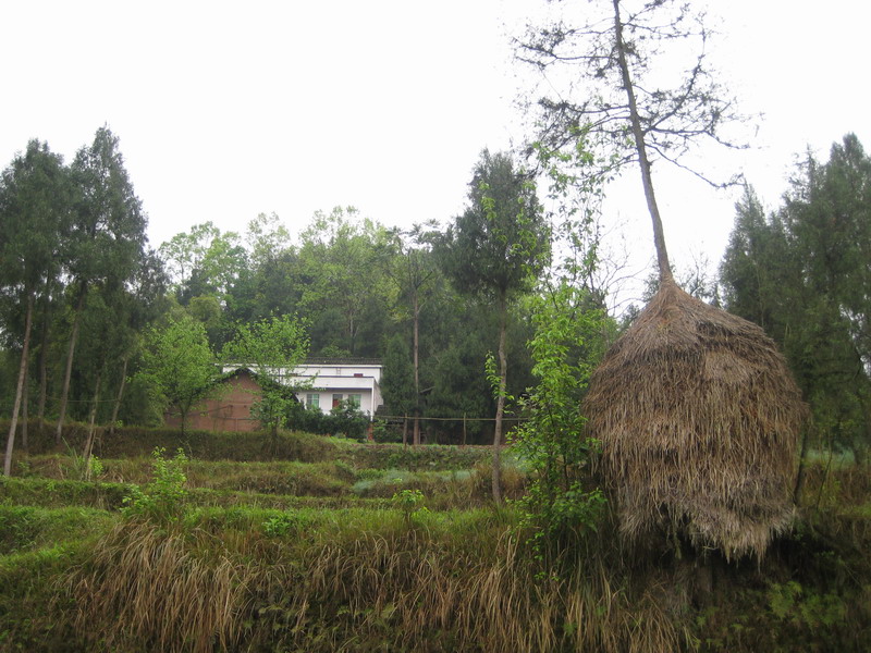 IMG_2622.JPG