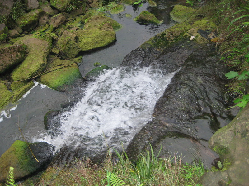 IMG_2685.JPG