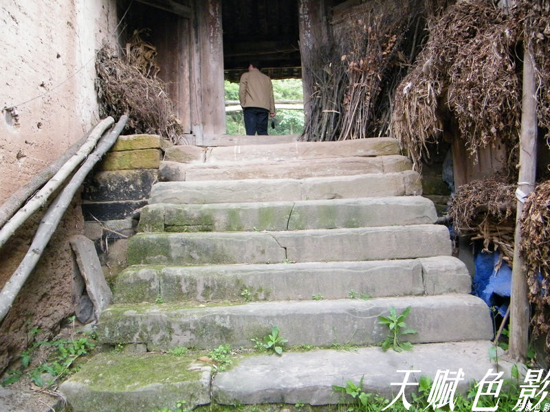 DSCF0377.jpg