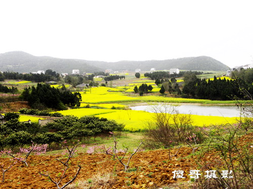 DSCN4378.jpg