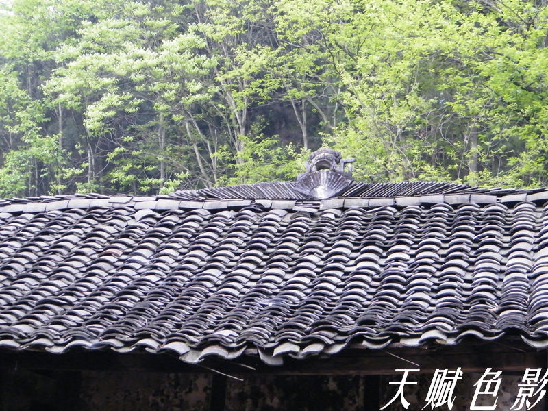 DSCF0390.jpg