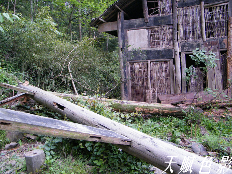 DSCF0394.jpg