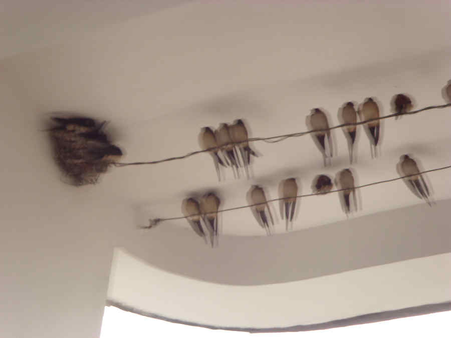SDC17659.JPG