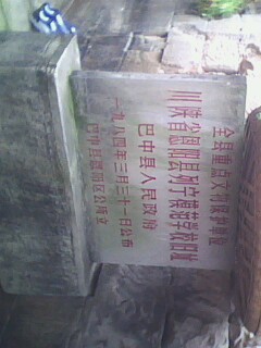 IMG0143A.jpg
