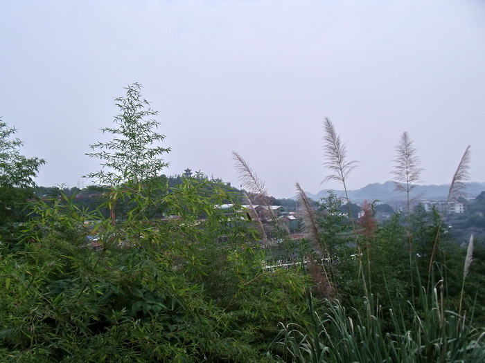 DSCF0155.jpg