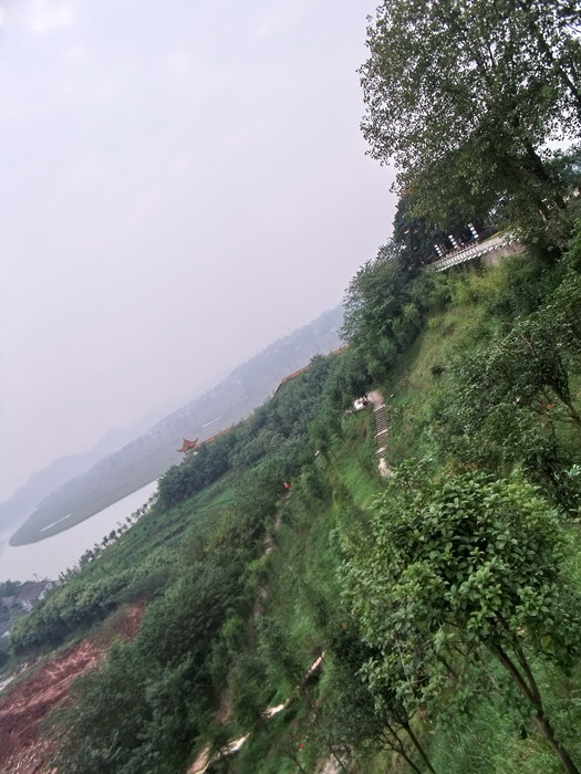 DSCF0139.jpg