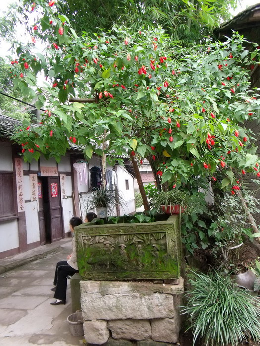 DSCF0102.jpg