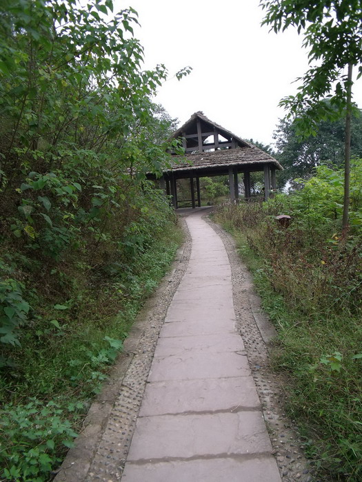 DSCF0128.jpg