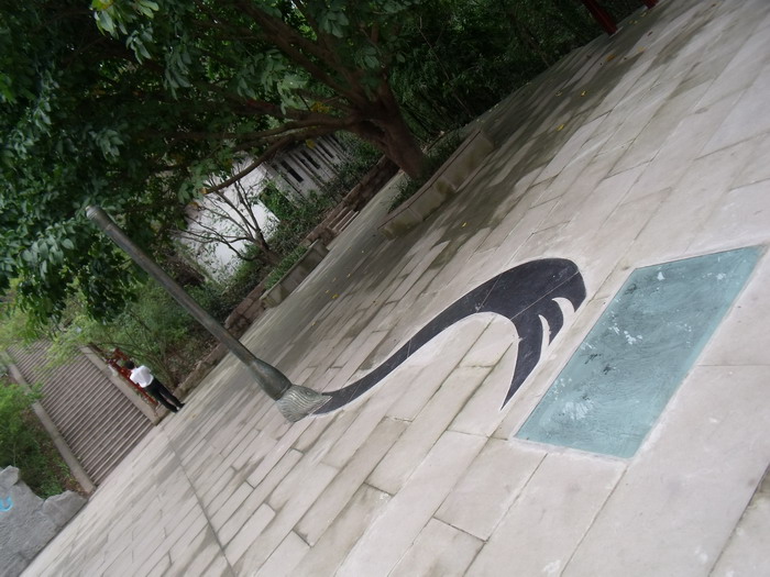 DSCF0119.jpg