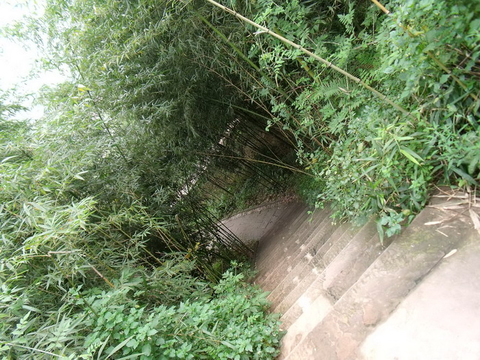 DSCF0156.jpg