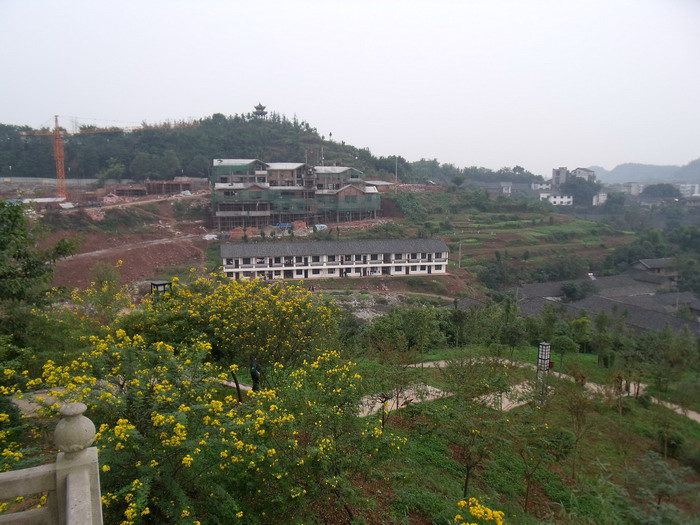 DSCF0163.jpg