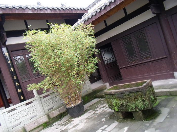 DSCF0169.jpg