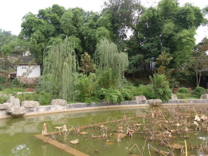 DSCF0176.jpg