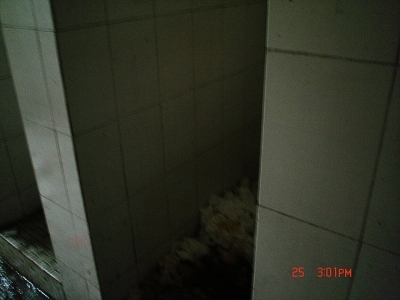 2.JPG