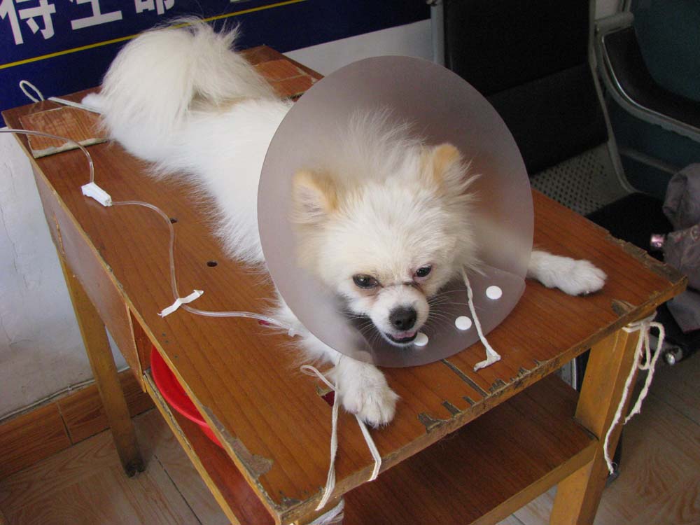 Ƭ 0041.jpg