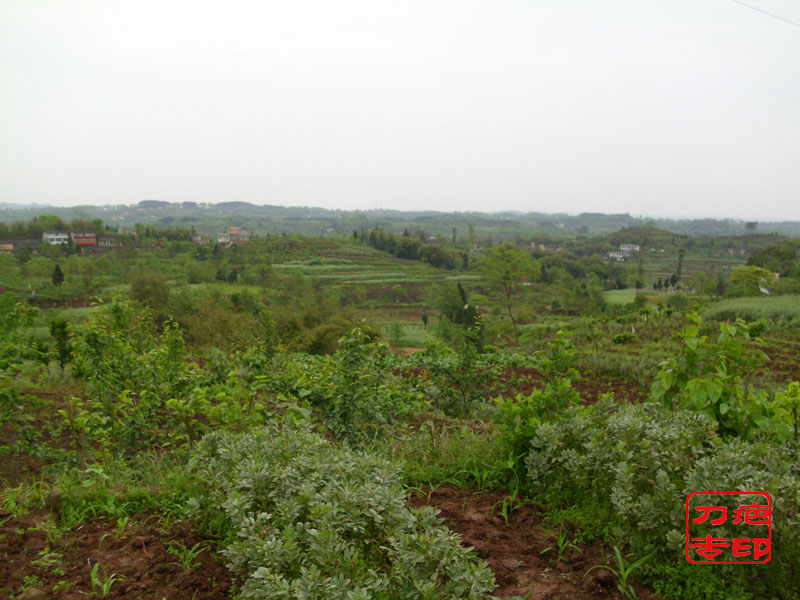 IMG_0379.jpg