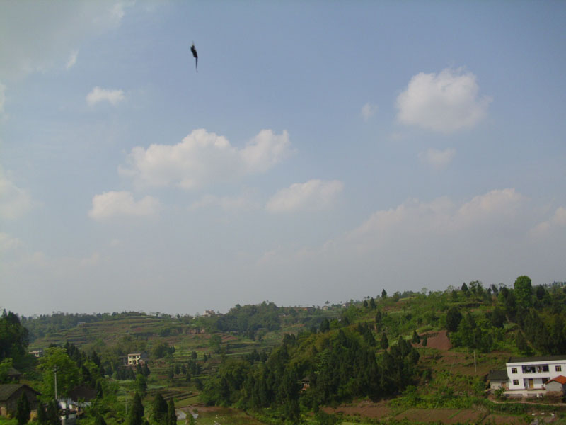 IMG_0505.jpg