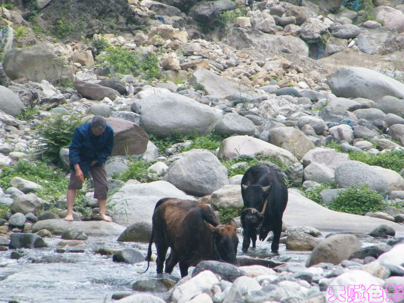 DSCF0725.jpg