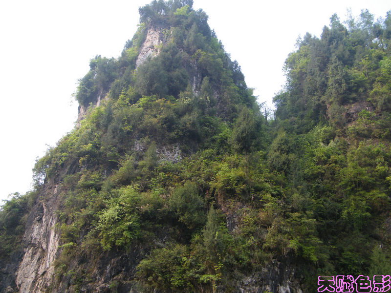 DSCF0696.jpg