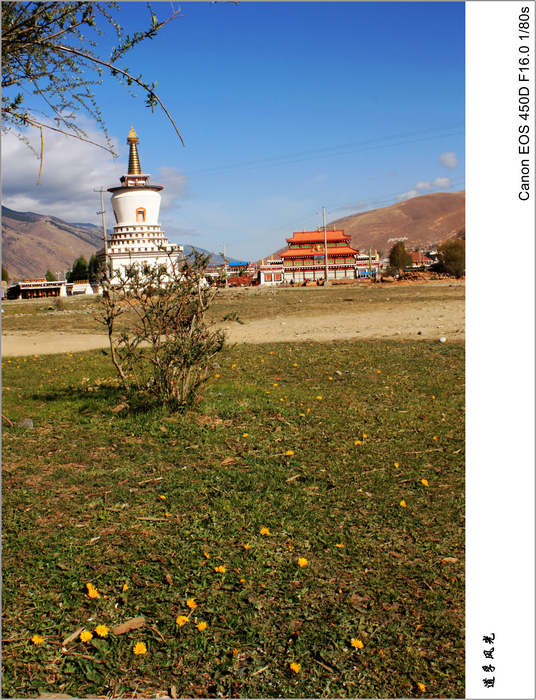 IMG_2599_conew1.jpg