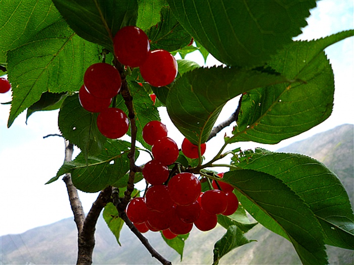 P1040989_.jpg