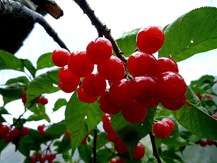 P1040995_.jpg