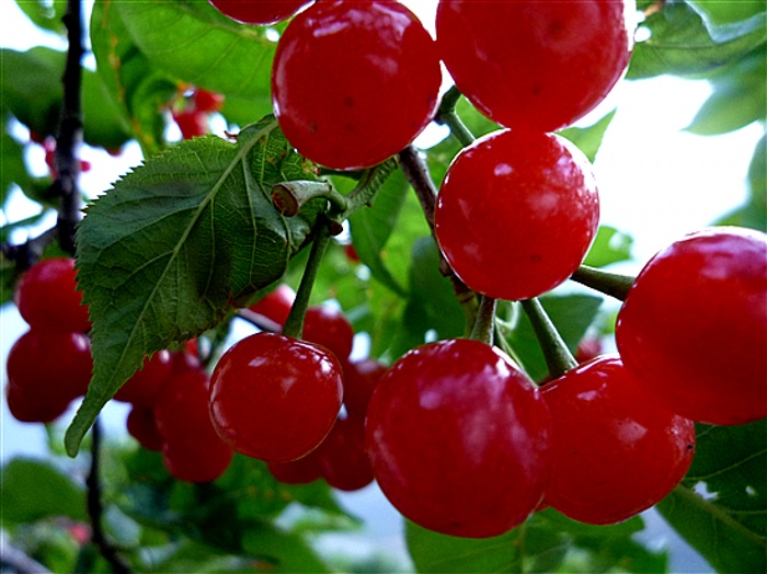 P1050027_.jpg