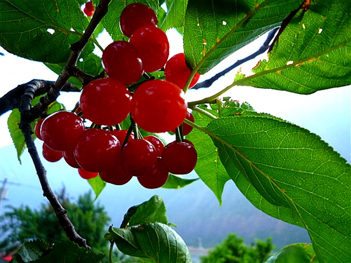 P1050030_.jpg
