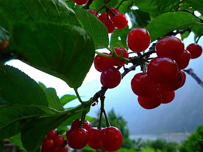 P1050028_.jpg
