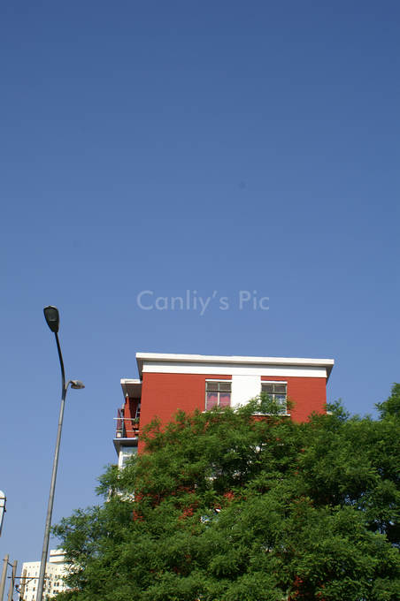 nEO_IMG_PICT0012.jpg