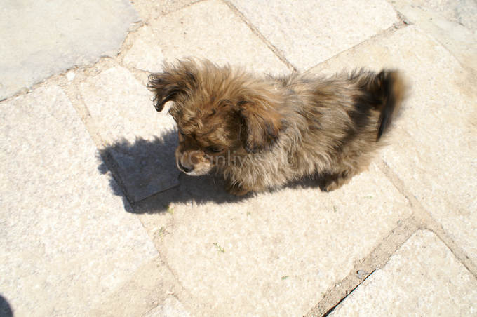 nEO_IMG_PICT0054.jpg