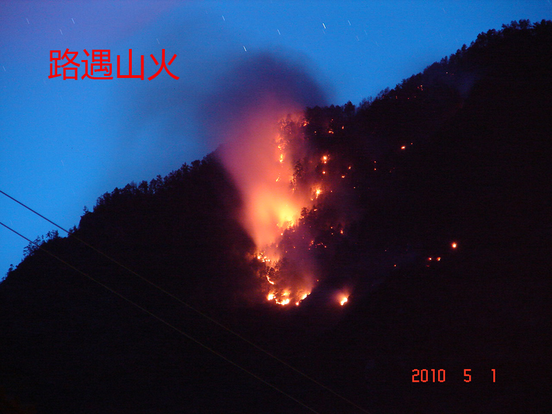 DSC09349.JPG