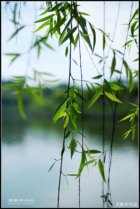 DSCF5795.jpg