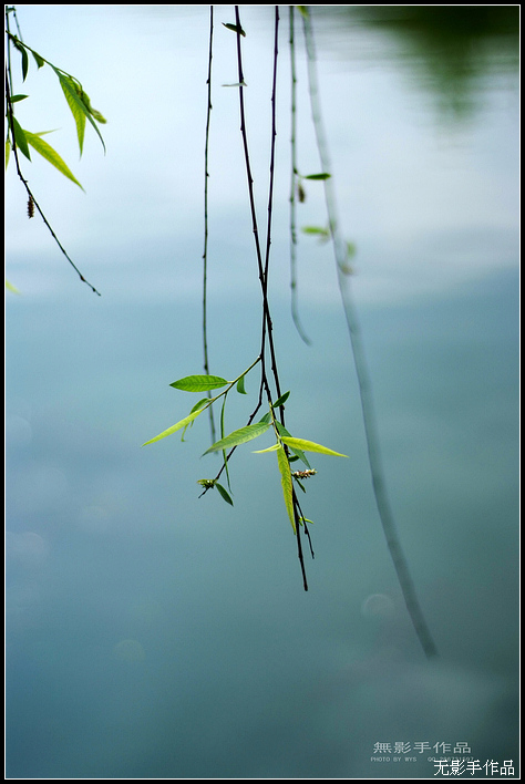 DSCF5796.jpg