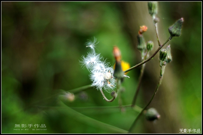 DSCF5810.jpg