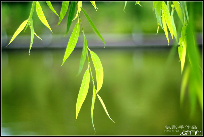 DSCF5809.jpg