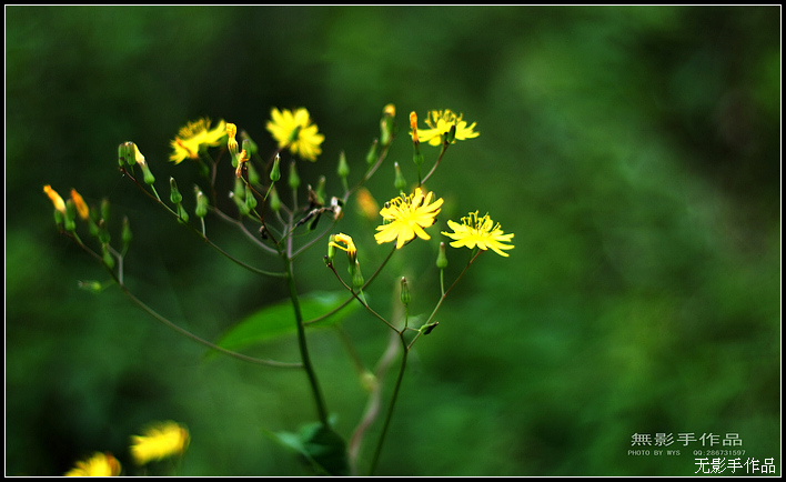 DSCF5813.jpg