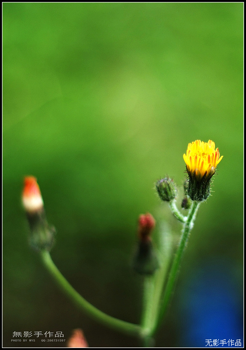 DSCF5812.jpg