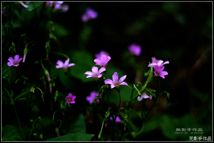DSCF5814.jpg