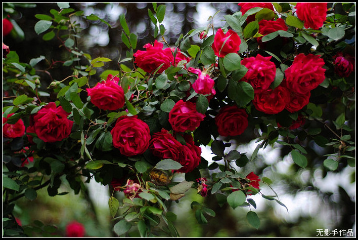 DSCF5828.jpg