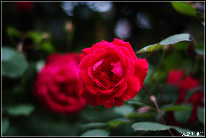 DSCF5830.jpg