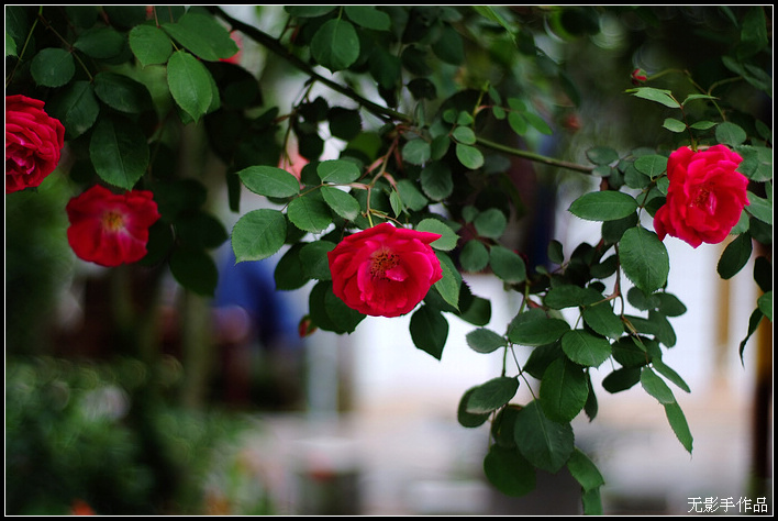 DSCF5831.jpg
