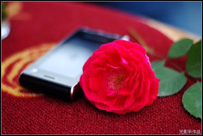 DSCF5836.jpg