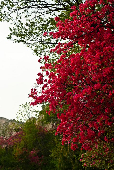 20090430194951w.jpg