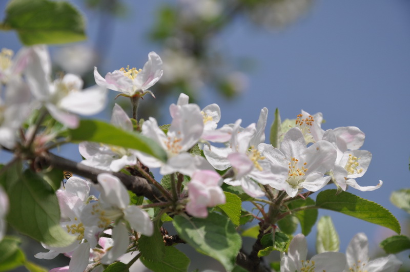 DSC_0082.JPG